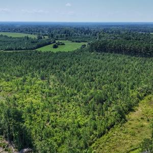 Photo #29 of SOLD property in Off Bowen Blanks Drive, Rieglewood, NC 4.2 acres