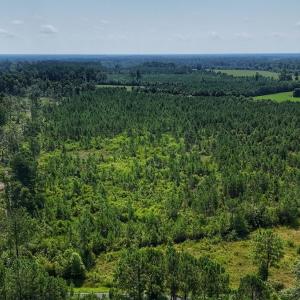 Photo #4 of SOLD property in Off Bowen Blanks Drive, Rieglewood, NC 4.2 acres