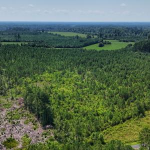Photo #30 of SOLD property in Off Bowen Blanks Drive, Rieglewood, NC 4.2 acres