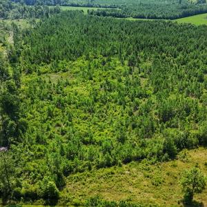 Photo #31 of SOLD property in Off Bowen Blanks Drive, Rieglewood, NC 4.2 acres