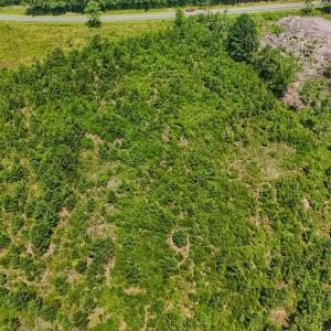 Photo #33 of SOLD property in Off Bowen Blanks Drive, Rieglewood, NC 4.2 acres