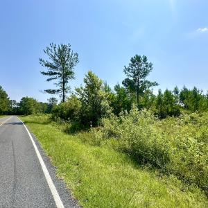 Photo #34 of SOLD property in Off Bowen Blanks Drive, Rieglewood, NC 4.2 acres