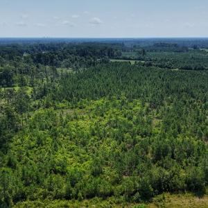 Photo #5 of SOLD property in Off Bowen Blanks Drive, Rieglewood, NC 4.2 acres