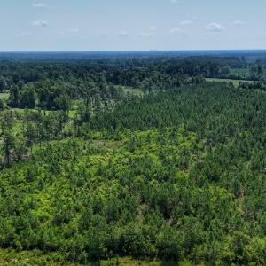 Photo #6 of SOLD property in Off Bowen Blanks Drive, Rieglewood, NC 4.2 acres