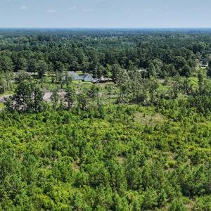 Photo #8 of SOLD property in Off Bowen Blanks Drive, Rieglewood, NC 4.2 acres