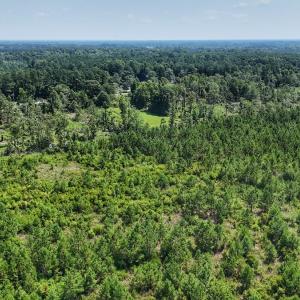 Photo #9 of SOLD property in Off Bowen Blanks Drive, Rieglewood, NC 4.2 acres