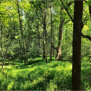 Photo #30 of SOLD property in 196 Collin Drive, Roxboro, NC 1.5 acres