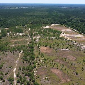 Photo #10 of SOLD property in 03 Josey Williams Road, Erwin, NC 11.0 acres