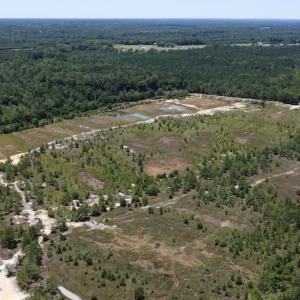 Photo #11 of SOLD property in 03 Josey Williams Road, Erwin, NC 11.0 acres