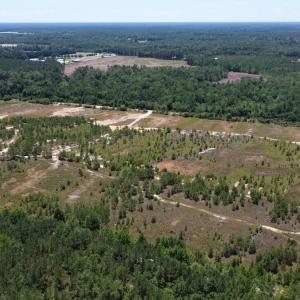 Photo #15 of SOLD property in 03 Josey Williams Road, Erwin, NC 11.0 acres