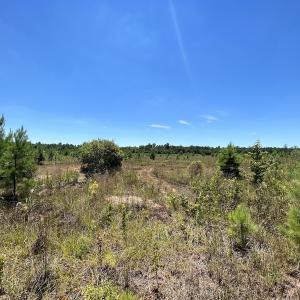 Photo #16 of SOLD property in 03 Josey Williams Road, Erwin, NC 11.0 acres