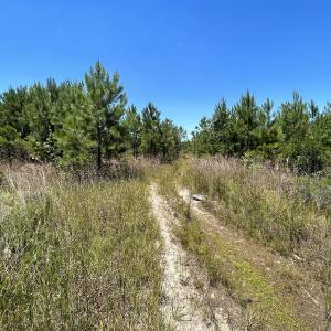Photo #18 of SOLD property in 03 Josey Williams Road, Erwin, NC 11.0 acres
