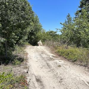 Photo #19 of SOLD property in 03 Josey Williams Road, Erwin, NC 11.0 acres