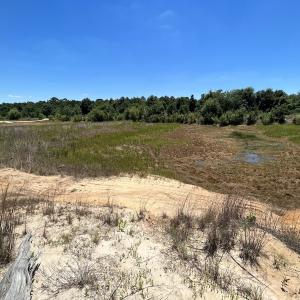 Photo #20 of SOLD property in 03 Josey Williams Road, Erwin, NC 11.0 acres