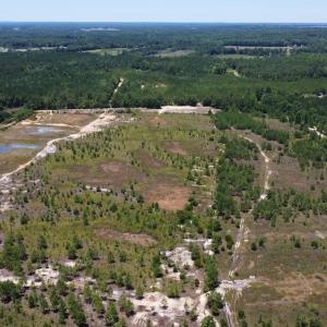 Photo #5 of SOLD property in 03 Josey Williams Road, Erwin, NC 11.0 acres