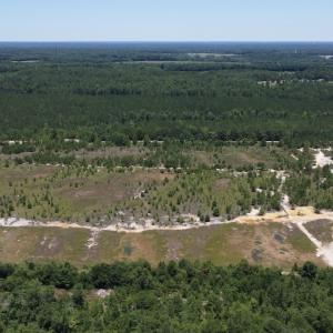 Photo #7 of SOLD property in 03 Josey Williams Road, Erwin, NC 11.0 acres