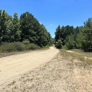 Photo #23 of SOLD property in 03 Josey Williams Road, Erwin, NC 11.0 acres