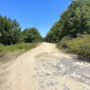 Photo #24 of SOLD property in 03 Josey Williams Road, Erwin, NC 11.0 acres