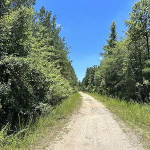 Photo #25 of SOLD property in 03 Josey Williams Road, Erwin, NC 11.0 acres