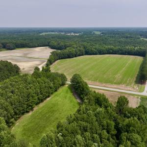 Photo #2 of SOLD property in Off Woodruff Rd, Selma, NC 42.0 acres