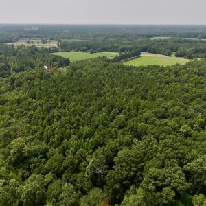Photo #14 of SOLD property in Off Woodruff Rd, Selma, NC 42.0 acres