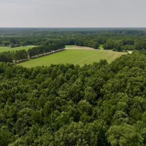 Photo #16 of SOLD property in Off Woodruff Rd, Selma, NC 42.0 acres