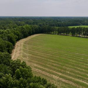 Photo #17 of SOLD property in Off Woodruff Rd, Selma, NC 42.0 acres