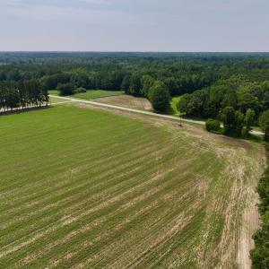 Photo #18 of SOLD property in Off Woodruff Rd, Selma, NC 42.0 acres