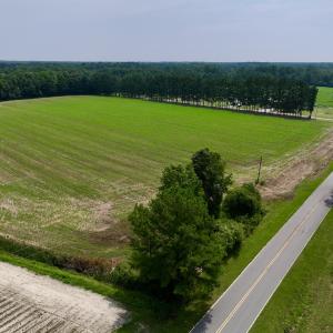 Photo #19 of SOLD property in Off Woodruff Rd, Selma, NC 42.0 acres