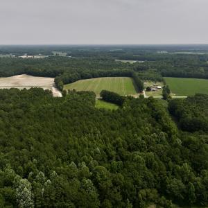 Photo #3 of SOLD property in Off Woodruff Rd, Selma, NC 42.0 acres