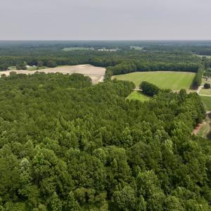 Photo #4 of SOLD property in Off Woodruff Rd, Selma, NC 42.0 acres