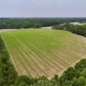 Photo #5 of SOLD property in Off Woodruff Rd, Selma, NC 42.0 acres