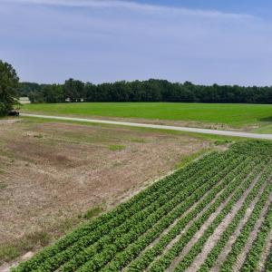 Photo #6 of SOLD property in Off Woodruff Rd, Selma, NC 42.0 acres