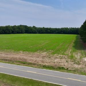 Photo #7 of SOLD property in Off Woodruff Rd, Selma, NC 42.0 acres