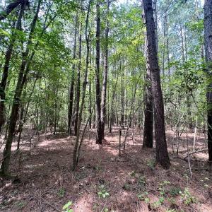 Photo #10 of SOLD property in Off Woodruff Rd, Selma, NC 42.0 acres