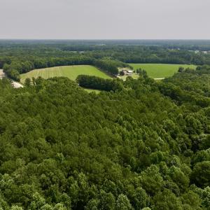 Photo #21 of SOLD property in Off Woodruff Rd, Selma, NC 42.0 acres