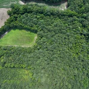 Photo #22 of SOLD property in Off Woodruff Rd, Selma, NC 42.0 acres