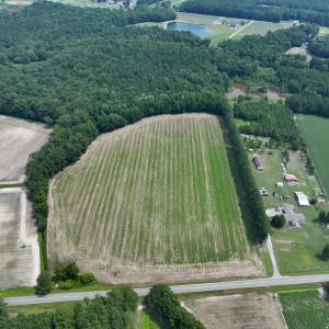 Photo #23 of SOLD property in Off Woodruff Rd, Selma, NC 42.0 acres