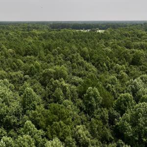Photo #28 of SOLD property in Off Woodruff Rd, Selma, NC 42.0 acres