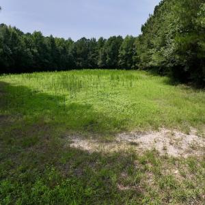 Photo #29 of SOLD property in Off Woodruff Rd, Selma, NC 42.0 acres