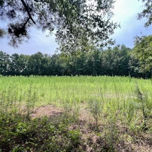 Photo #30 of SOLD property in Off Woodruff Rd, Selma, NC 42.0 acres
