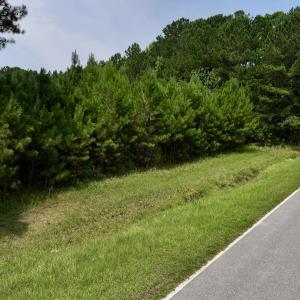 Photo #33 of SOLD property in Off Woodruff Rd, Selma, NC 42.0 acres