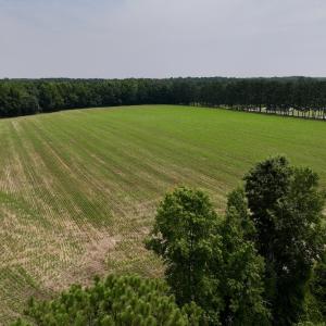 Photo #34 of SOLD property in Off Woodruff Rd, Selma, NC 42.0 acres