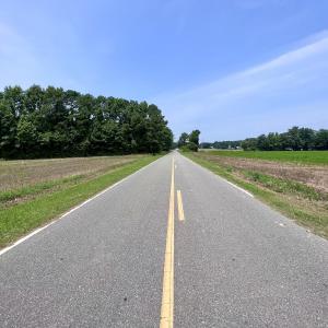 Photo #35 of SOLD property in Off Woodruff Rd, Selma, NC 42.0 acres