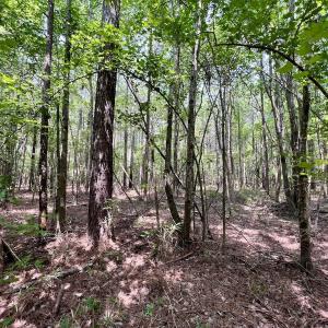 Photo #39 of SOLD property in Off Woodruff Rd, Selma, NC 42.0 acres