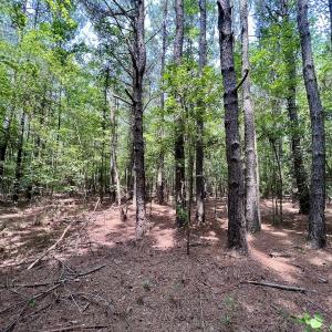Photo #40 of SOLD property in Off Woodruff Rd, Selma, NC 42.0 acres