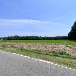 Photo #41 of SOLD property in Off Woodruff Rd, Selma, NC 42.0 acres