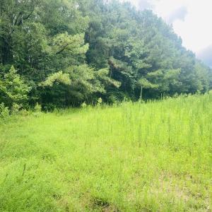 Photo #45 of SOLD property in Off Woodruff Rd, Selma, NC 42.0 acres