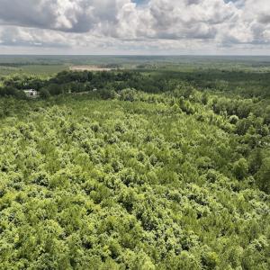 Photo #9 of SOLD property in Off Evans Farm Road, Hollister, NC 27.8 acres