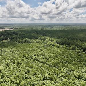 Photo #10 of SOLD property in Off Evans Farm Road, Hollister, NC 27.8 acres
